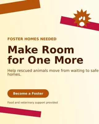 Kinetic Animal Rescue Poster — editable white community campaign template, instagram portrait