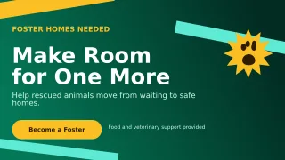 Kinetic Animal Rescue Wide Ad — editable black community campaign template, youtube thumbnail