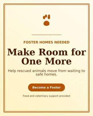 Luxe Animal Rescue Poster — editable white community campaign template, instagram portrait