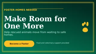 Luxe Animal Rescue Wide Ad — editable black community campaign template, youtube thumbnail