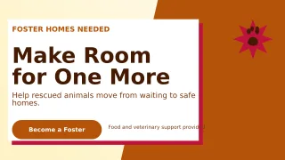 Neo Animal Rescue Wide Ad — editable white community campaign template, youtube thumbnail
