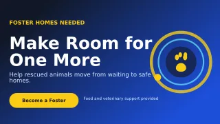 Orbit Animal Rescue Wide Ad — editable blue community campaign template, youtube thumbnail