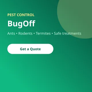Pest Control — editable green professional services template, instagram post