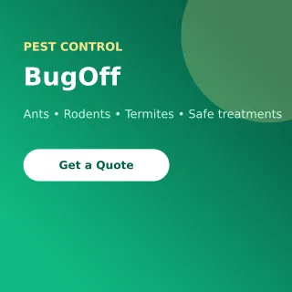 Pest Control Pest Control — editable green professional services template, instagram post
