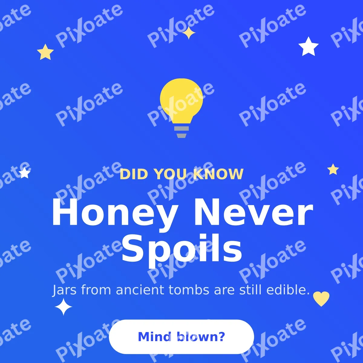 Did You Know Did You Know — editable blue social media template, instagram post