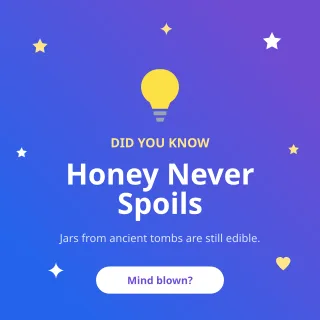 Did You Know — editable purple social media template, instagram post