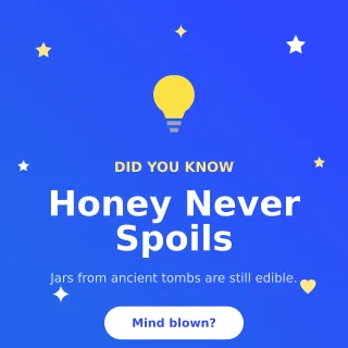 Did You Know Did You Know — editable blue social media template, instagram post