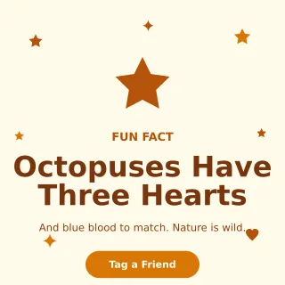 Fun Fact Fun Fact — editable white social media template, instagram post